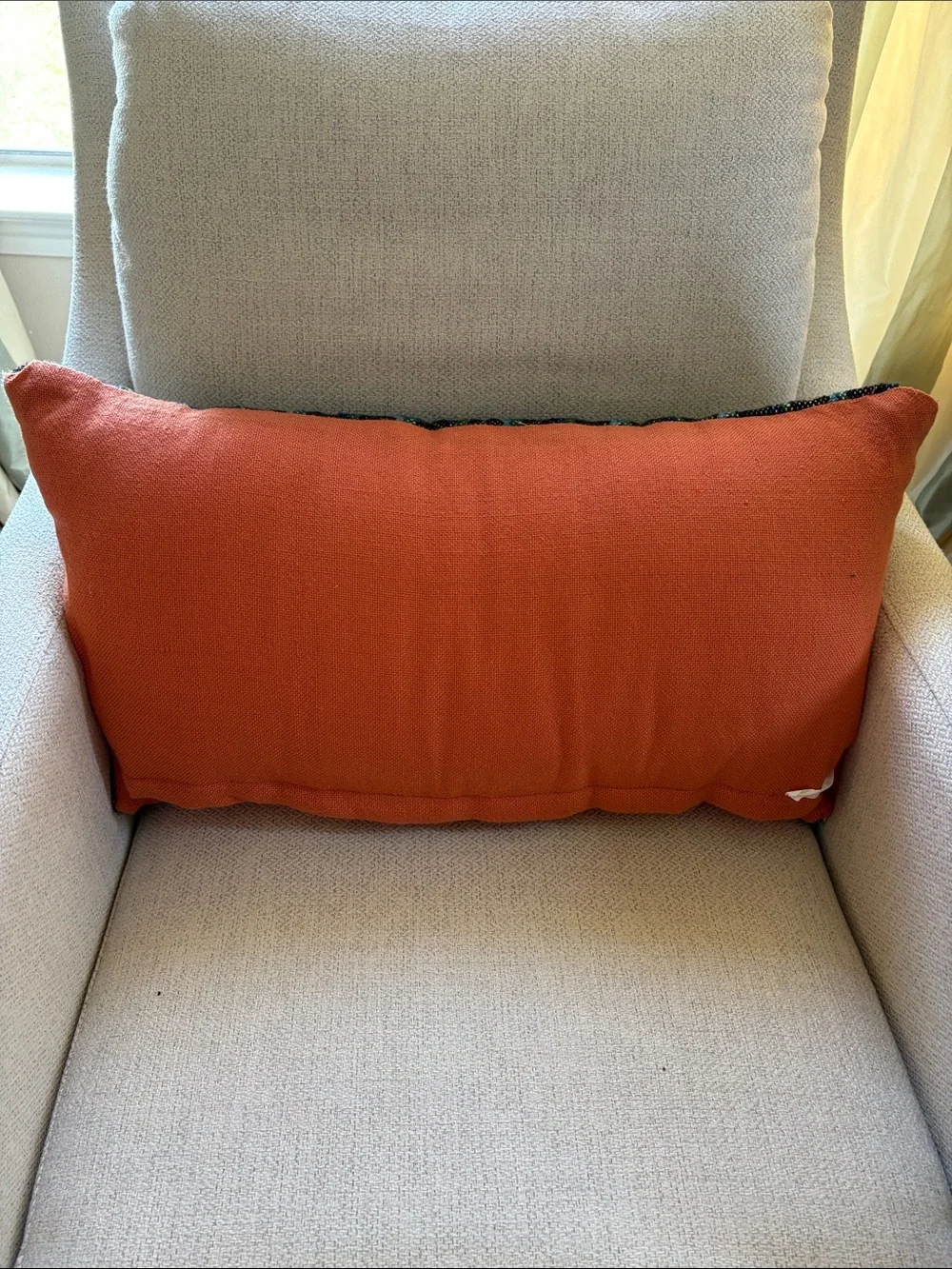 World Market Decorative Throw Pillow